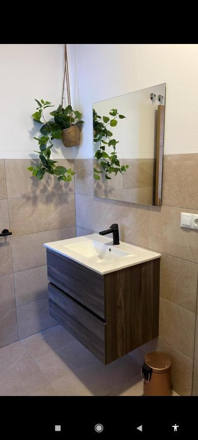 Suites 5* Lahcene Alicante Extérieur photo